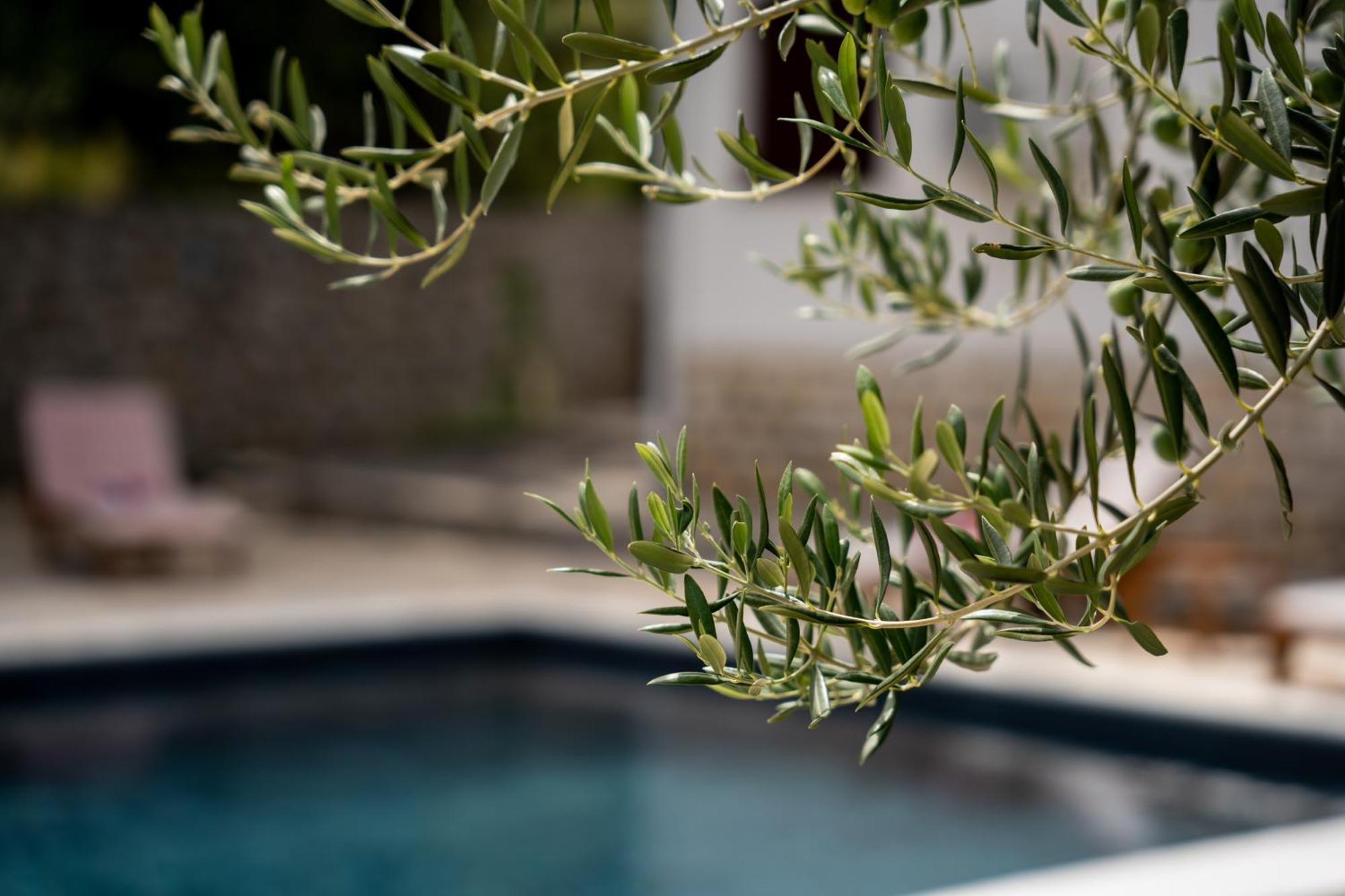 Villa Pag Dubrava Relax With Pool Bosana Exterior foto